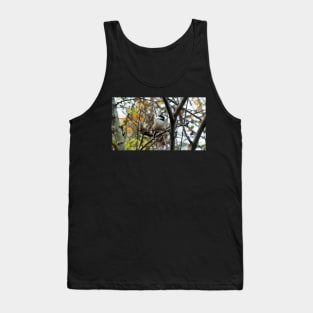 Black-capped Chickadee Perched In A Tree Tank Top